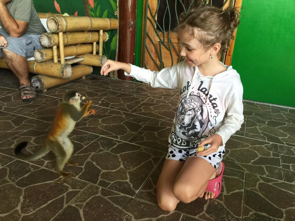 Jungle Villa Мануэль-Антонио Экстерьер фото