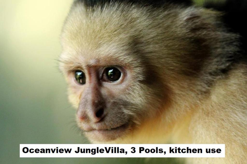 Jungle Villa Мануэль-Антонио Экстерьер фото
