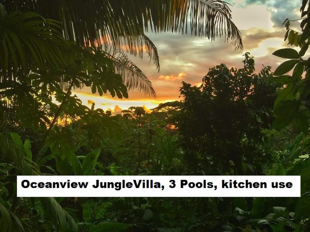 Jungle Villa Мануэль-Антонио Экстерьер фото