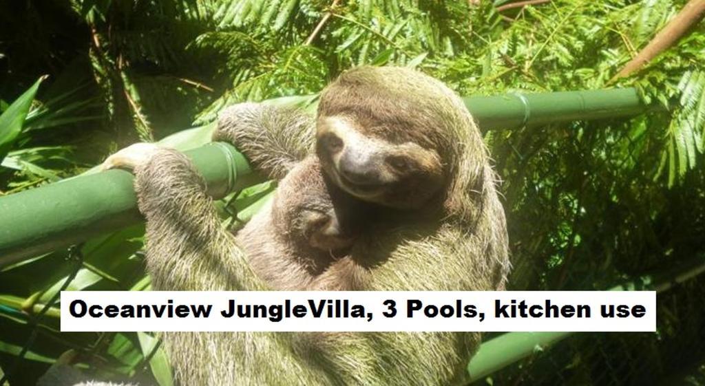 Jungle Villa Мануэль-Антонио Экстерьер фото